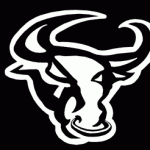 bull_logo